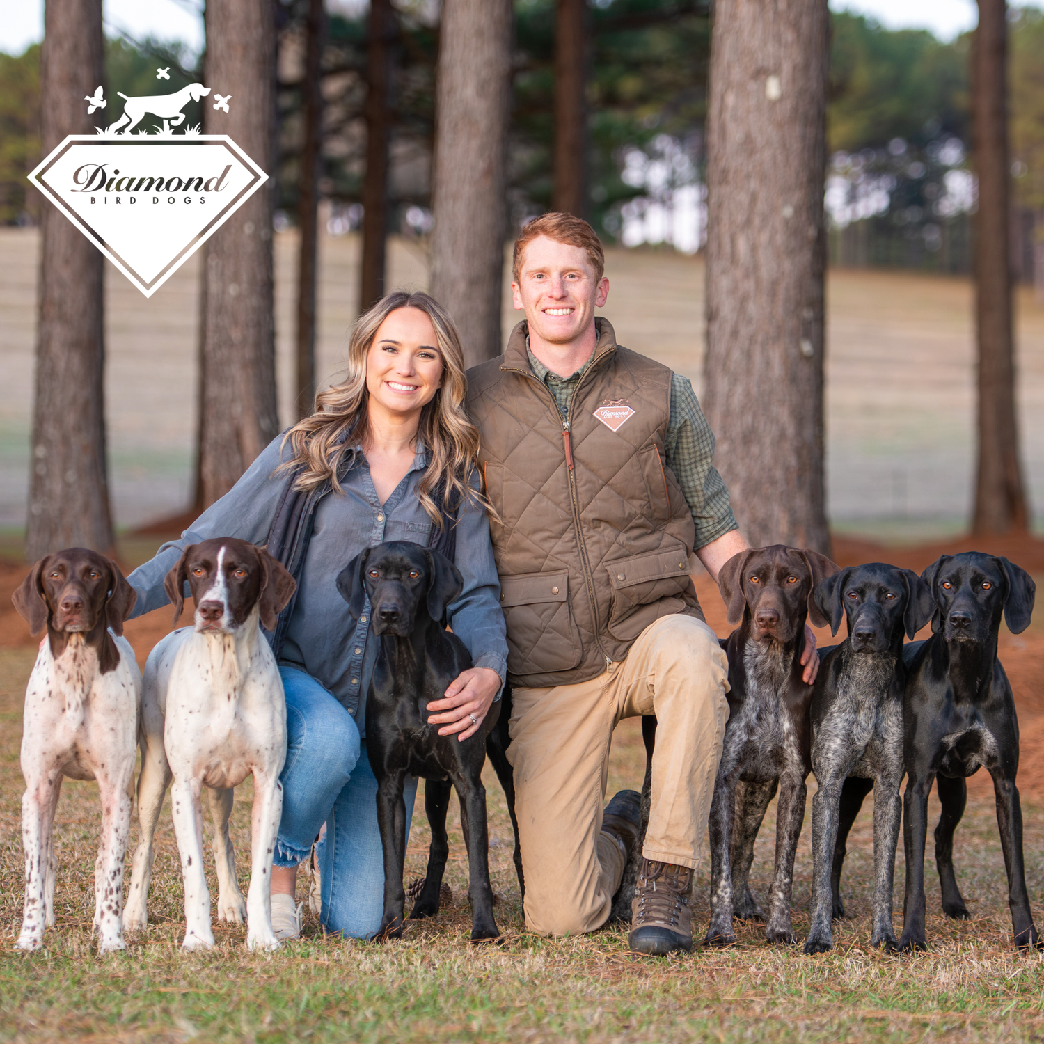 Diamond Bird Dogs