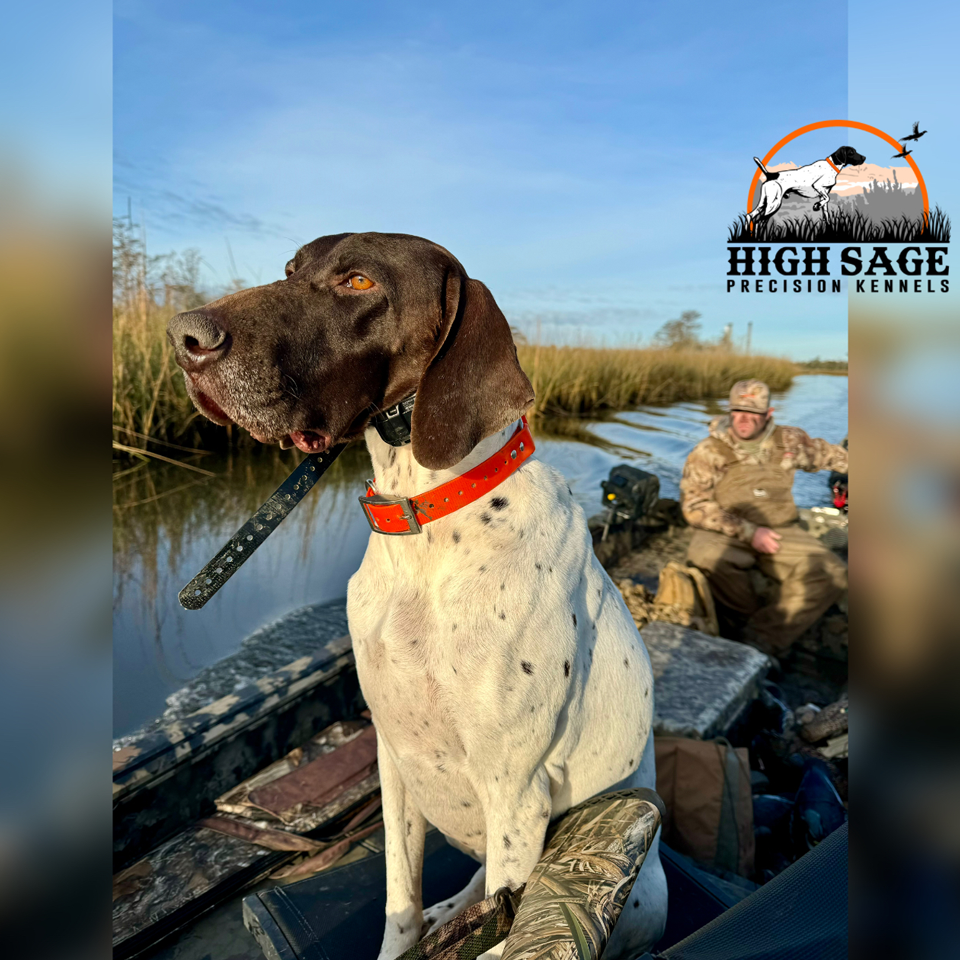 High Sage Precision Kennels