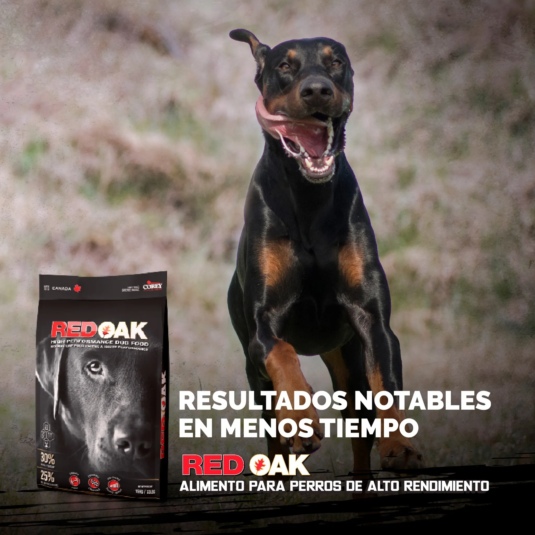 Perro corriendo junto a un saco de Red Oak High Performance Dog Food