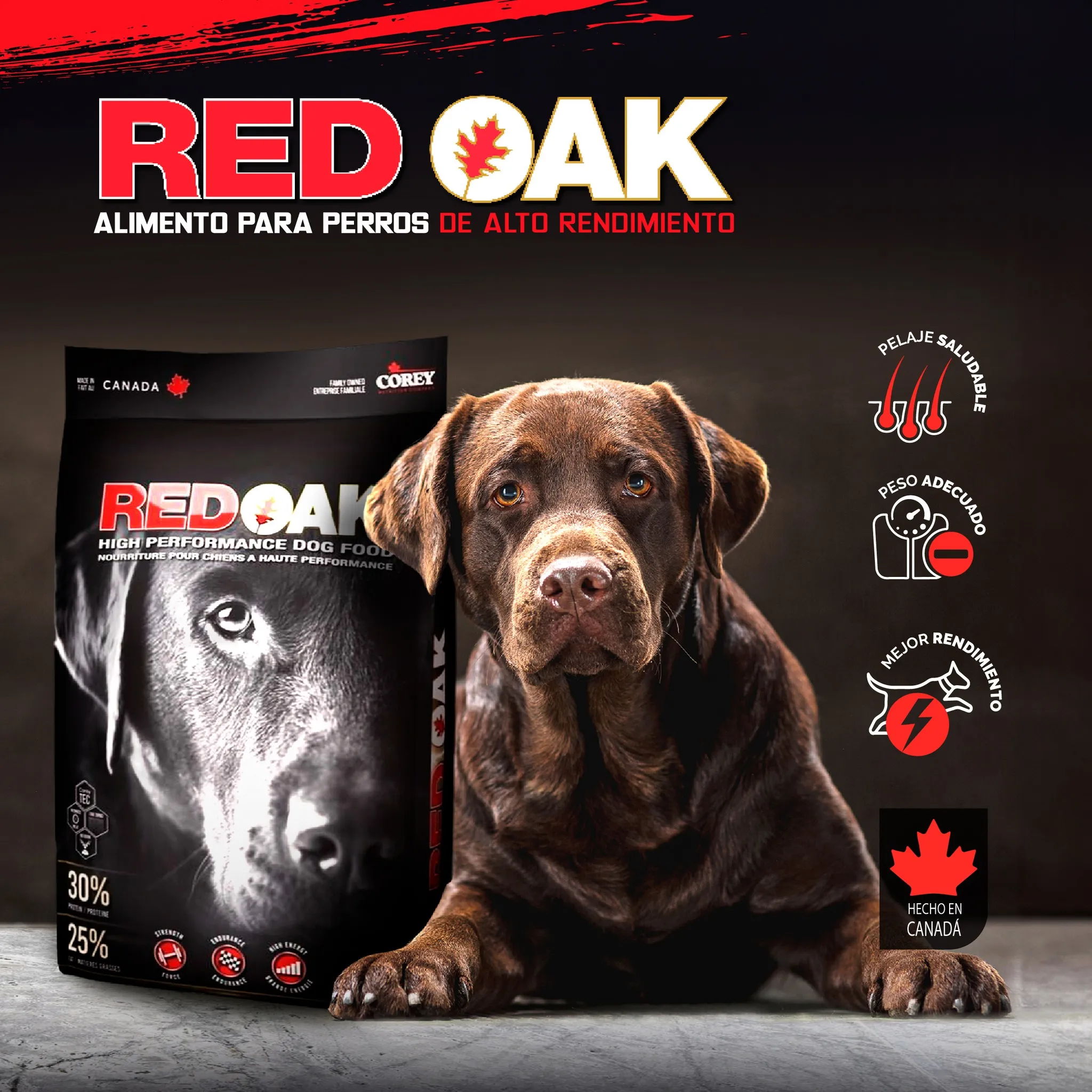Cachorro junto a un saco de Red Oak High Performance Dog Food