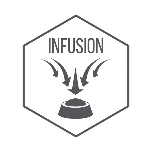 Infusión al Vacío — Vacuum Infusion Process
